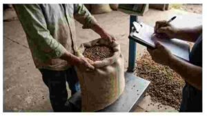 Coffee Farmer Data Ownership